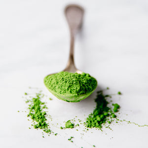 Matcha Powder - Matcha Oishii